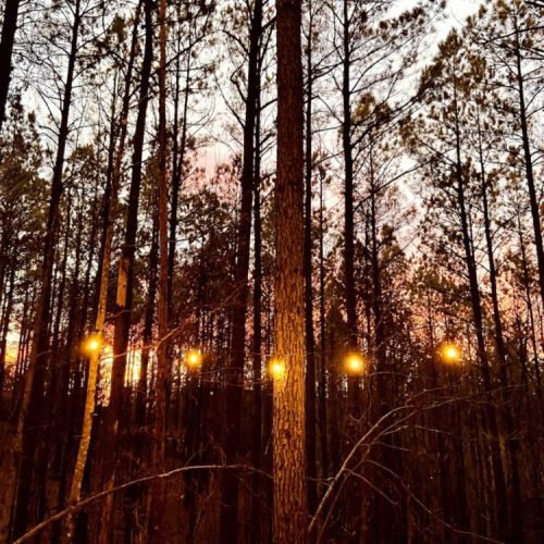 End of a beautiful day!