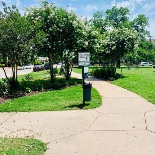 Walk your dog or enjoy the sunshine!